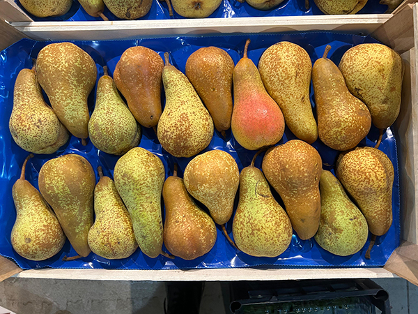 Pere Abate Fétel cal. 20 Origine Italia, prezzo 2,10-2,20 euro al chilo